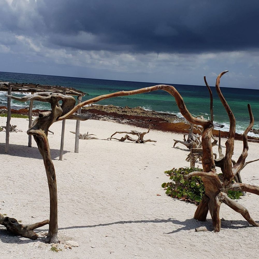 Meet your Posher, Kristi